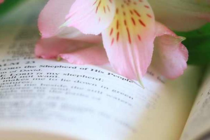 flowers on bible